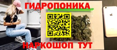 spice Партизанск