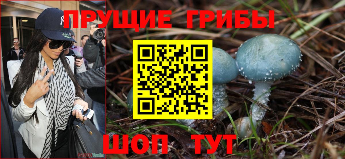 Северск  Псилоцибиновые грибы ЛСД  Вход с VPN  Галлюциногенные грибы GOLDEN TEACHER 