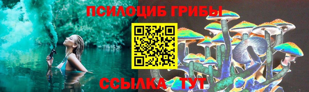 Псилоцибиновые грибы MAGIC MUSHROOMS Северск